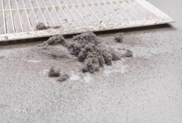 Best HVAC System Cleaning  in Davie, FL