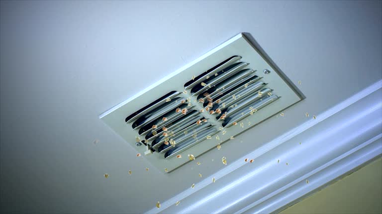 Best Affordable Duct Cleaning Services  in Davie, FL