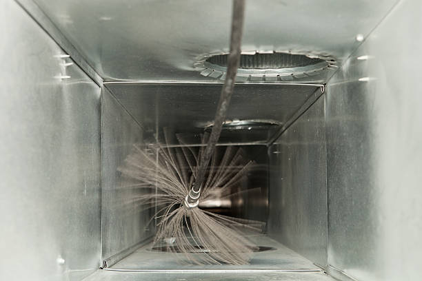 Best Ventilation Cleaning Services  in Davie, FL