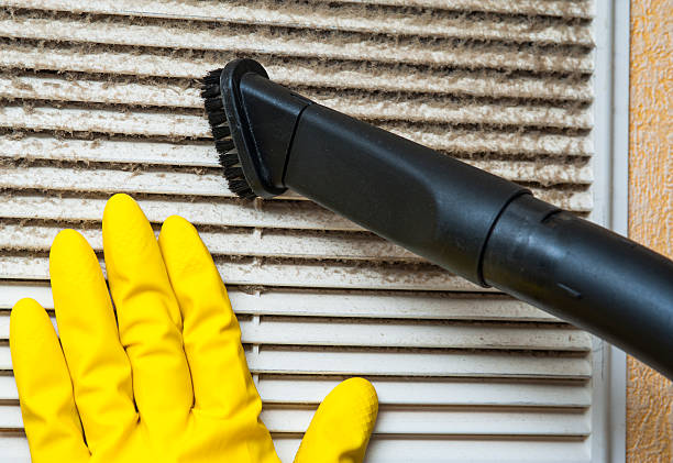 Best Local Air Duct Cleaning Services  in Davie, FL