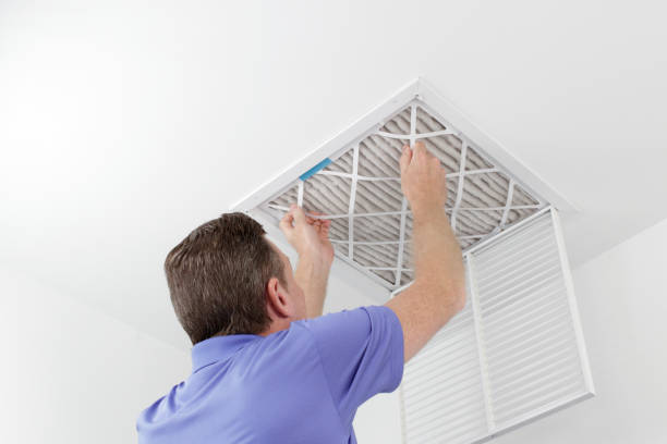 Best Air Duct Cleaning Near Me  in Davie, FL